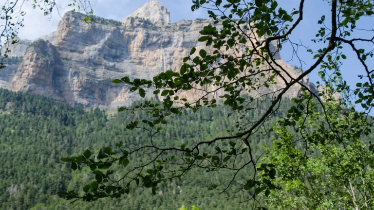 Blog-Casas-Rurales-Molins